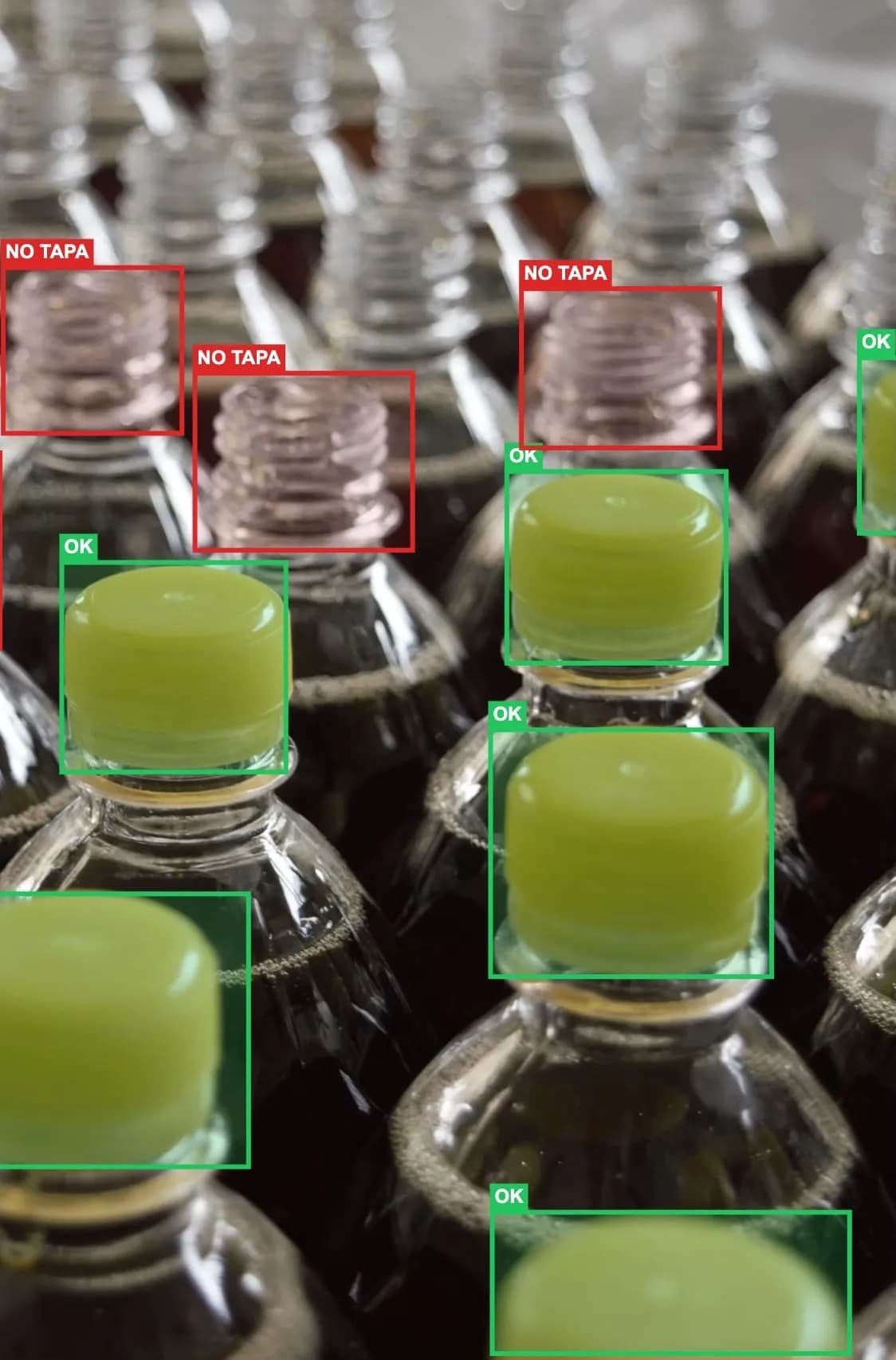 Plásticos y Envases