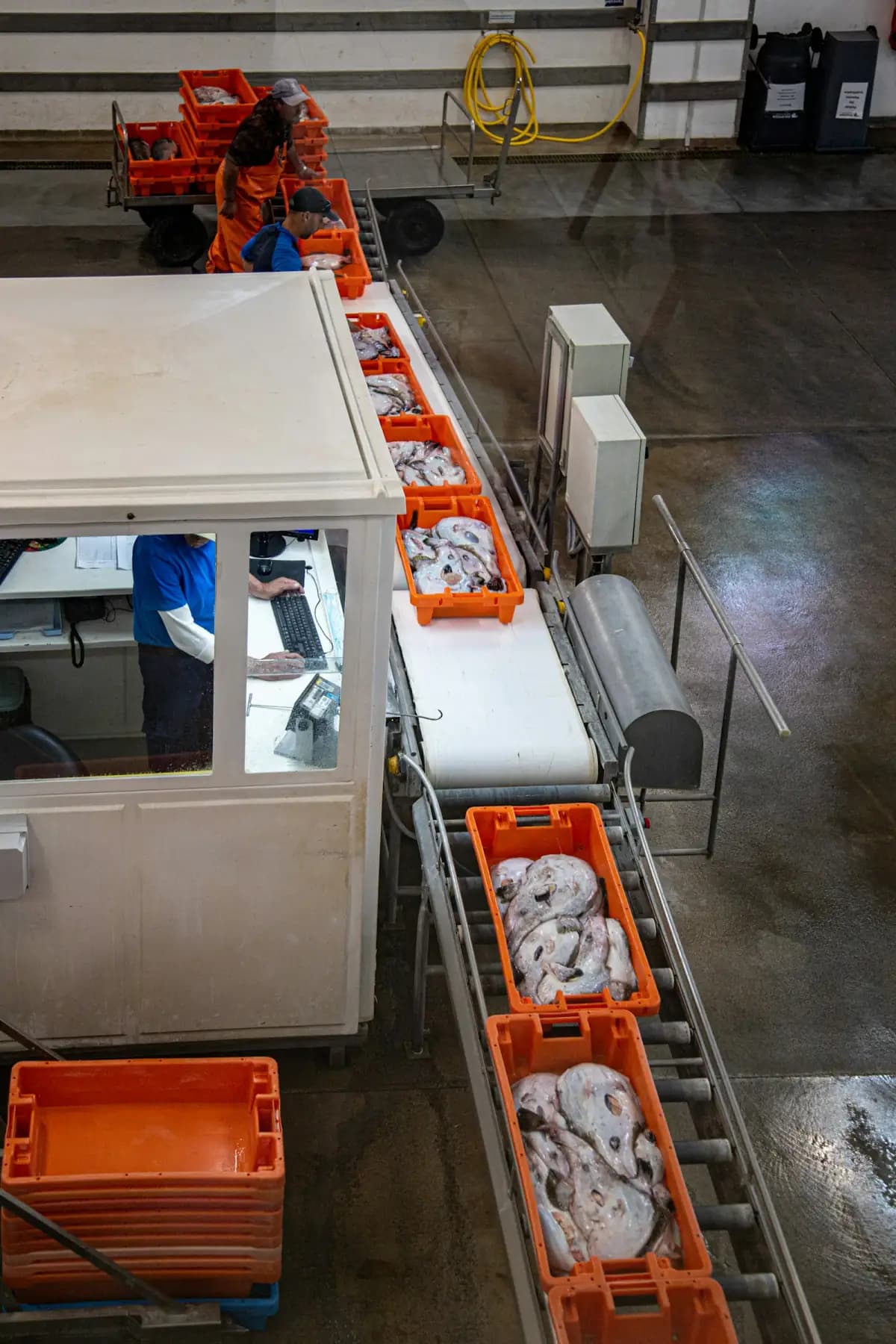 Food and beverage plant with digital quality audit dashboard